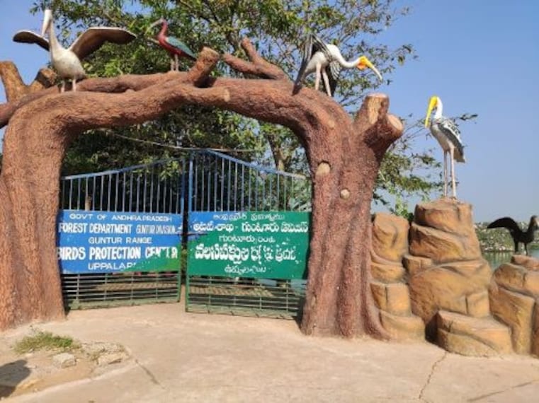Uppalapadu Nature Conservation-3